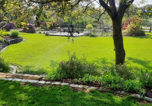 Automatische Gartenbewässerung in einem privaten Garten mit Rasenfläche, Bäumen und Zierpflanzen