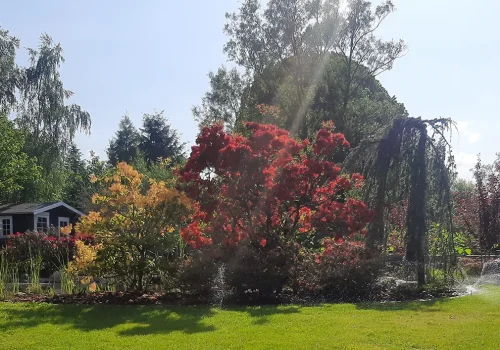 Automatische Gartenbewässerung in einem privaten Garten mit Rasenfläche und Zierpflanzen