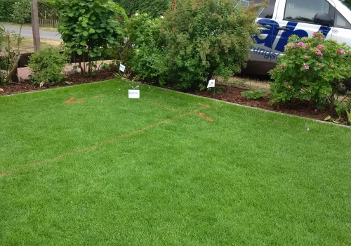 Markierte Rohrtrassen für die Verlegung einer Gartenbewässerung