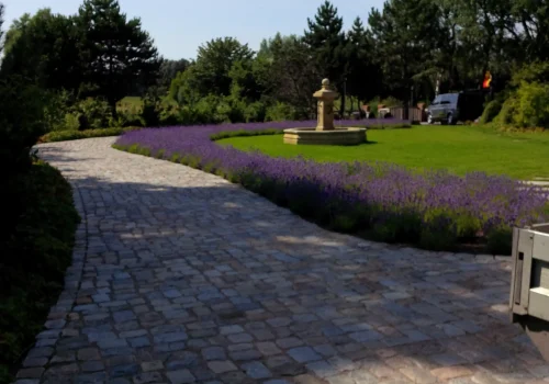 Gepflasterter Gartenweg mit Lavendelbeeten und Brunnen in Ahrenshoop