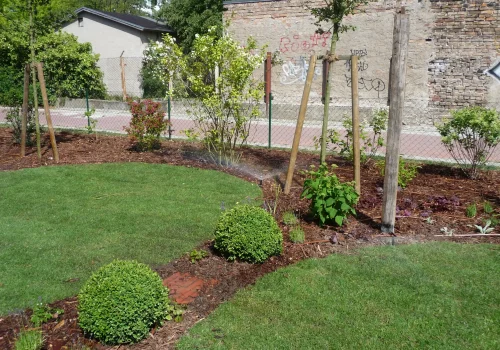 Neu angelegter Garten mit Rasenfläche, Bepflanzung und integrierter Bewässerung in Rostock
